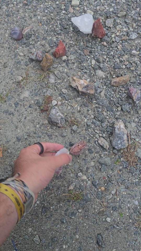 A hand picking up a stone from the gravel